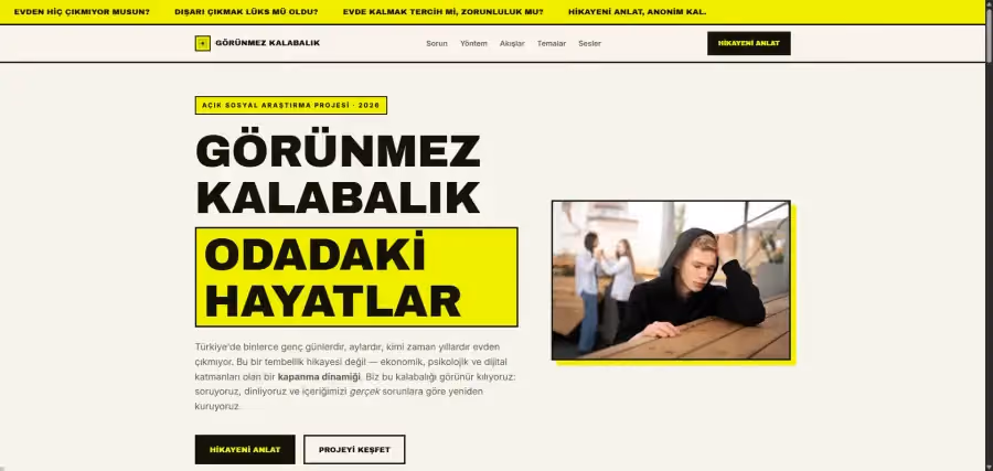 Görünmez Kalabalık araştırma sitesinin açılış ekranı