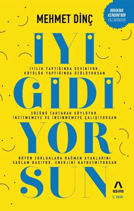 Mehmet Dinç'in İyi Gidiyorsun kitabının kapağı